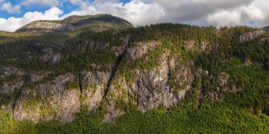 Rocky Cliffs ve Trees Kanada dağında. Squamish, BC, Kanada.