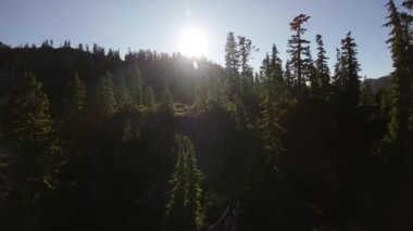 Bahar mevsiminde Kanada 'da Dağ Tepeleri. Hava görüntüsü. Dinamik Uçma. British Columbia, Kanada. 