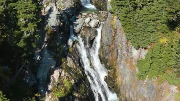 Río Cascada Que Corren Por Montaña Por Rocas Árboles Antecedentes — Vídeo de stock