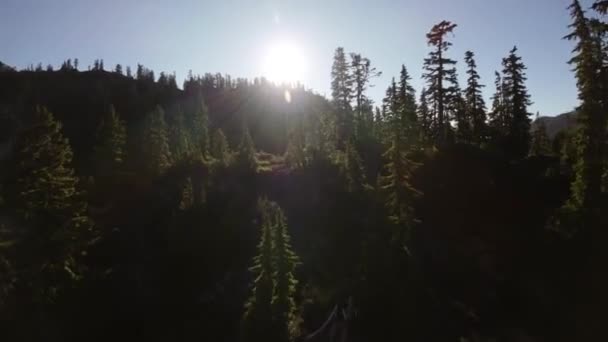 Berggipfel Der Kanadischen Landschaft Frühling Luftaufnahme Dynamisches Fliegen British Columbia — Stockvideo