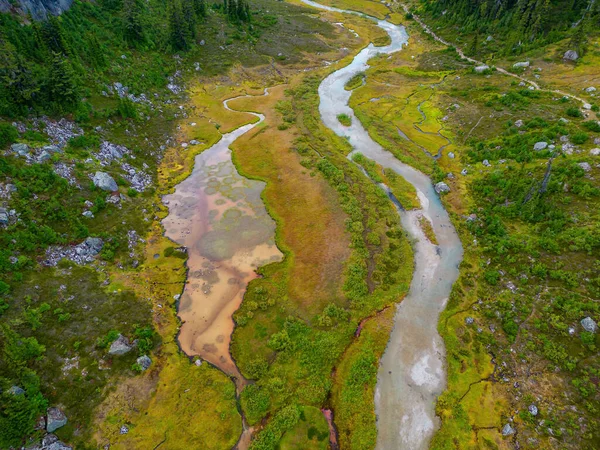 加拿大高山景观中充满活力的绿色草原上的河流的空中景观 不列颠哥伦比亚省 加拿大 自然背景 — 图库照片