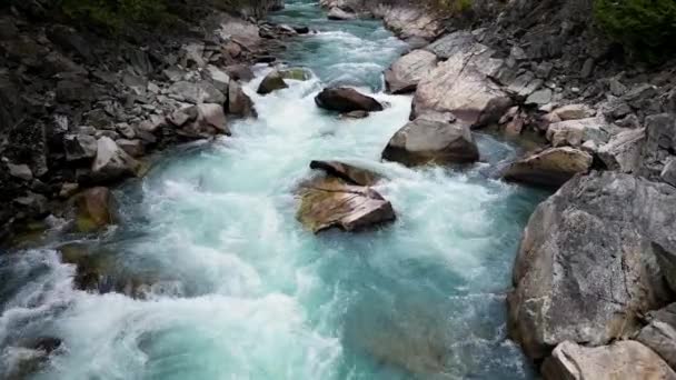 Řeka Skalistém Horském Kaňonu Britská Kolumbie Kanada Vzdušné Pozadí Přírody — Stock video