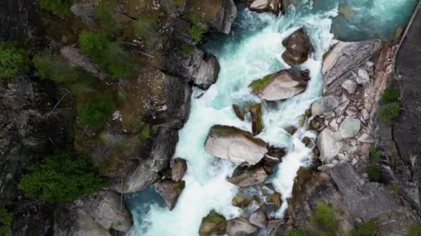 ロッキーマウンテンキャニオンの川 ブリティッシュコロンビア カナダ 空中自然の背景 シネマティック — ストック動画