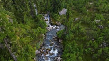 Kanada Dağ Manzarası 'ndaki Vibrant Green Meadows' daki Nehir Havadan Görünümü. British Columbia, Kanada. Doğa Arkaplanı.