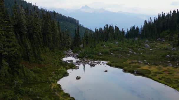 Luftaufnahme Des Flusses Den Lebendigen Grünen Wiesen Der Kanadischen Berglandschaft — Stockvideo