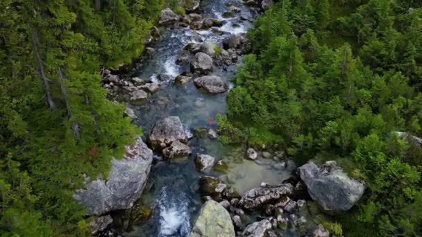 カナダの山の風景のヴィブラント グリーン メドウズの川の空中ビュー ブリティッシュコロンビア カナダ — ストック動画