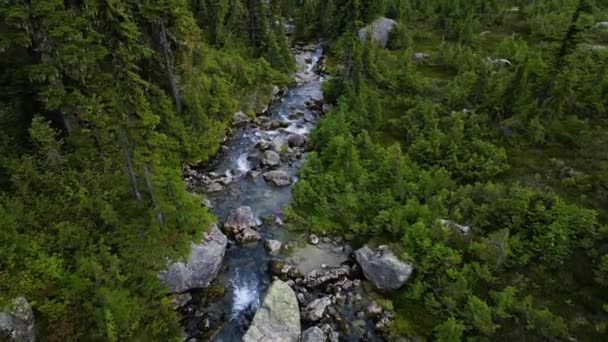 Vista Aérea Del Río Vibrantes Prados Verdes Paisaje Montañoso Canadiense — Vídeo de stock