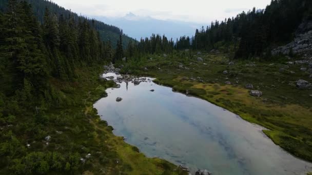 Luftaufnahme Des Flusses Den Lebendigen Grünen Wiesen Der Kanadischen Berglandschaft — Stockvideo