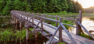 Kanada doğasındaki göl kıyısındaki tahta patika. Squamish ve Whistler yakınlarında, British Columbia, Kanada.