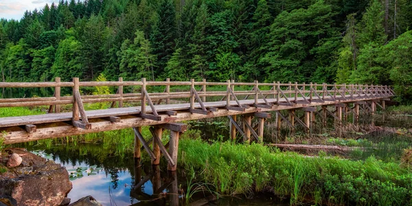 Wooden Trail Lake Canadian Nature Squamish Whistler British Columbia Canada — Stock Photo, Image
