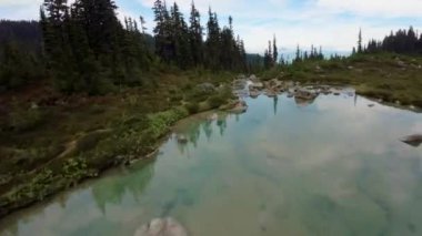 Dağ manzarasında yeşil çayırlar. Hava görüntüsü. Doğada Uçan Dinamik. British Columbia, Kanada. Bulutlu Gün Batımı.