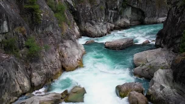 Річка Скелястому Гірському Каньйоні Британська Колумбія Канада Повітряний Фон Природи — стокове відео