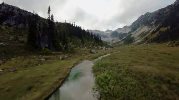 Zielone Łąki Górskim Krajobrazie Widok Lotu Ptaka Dynamiczne Latanie Przyrodzie — Wideo stockowe