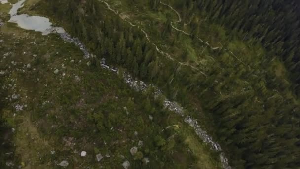 Grüne Wiesen Der Berglandschaft Luftaufnahme Dynamisches Fliegen Der Natur British — Stockvideo