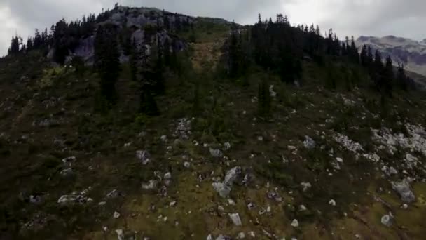 Зелені Луки Гірському Ландшафті Вид Повітря Динамічний Політ Природі Британська — стокове відео