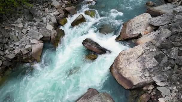 ロッキーマウンテンキャニオンの川 ブリティッシュコロンビア カナダ 空中自然の背景 シネマティック — ストック動画