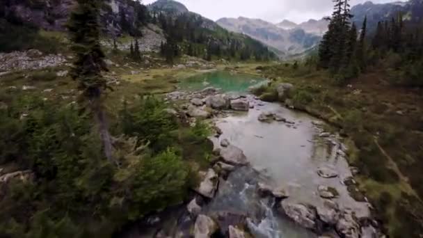 Πράσινα Λιβάδια Στο Ορεινό Τοπίο Αεροφωτογραφία Δυναμική Πετώντας Στη Φύση — Αρχείο Βίντεο