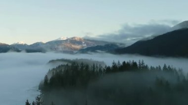 Ormanda Sis ve Dağlı Yeşil Ağaçlar. Kış Güneşli Gündoğumu. Kanada Doğa Peyzajı. Squamish, BC, Kanada. Yavaş Hareket