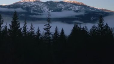 Ormanda Sis ve Dağlı Yeşil Ağaçlar. Kış Güneşli Gündoğumu. Kanada Doğa Peyzajı. Squamish, BC, Kanada. Yavaş Hareket