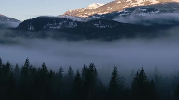 Gröna Träd Skogen Med Dimma Och Berg Vintersoluppgång Kanadensisk Natur — Stockvideo