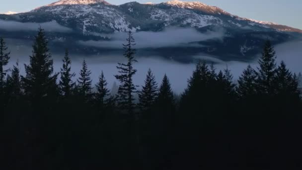 Зеленые Деревья Лесу Туманом Горами Зимний Солнечный Рассвет Канадский Природный — стоковое видео