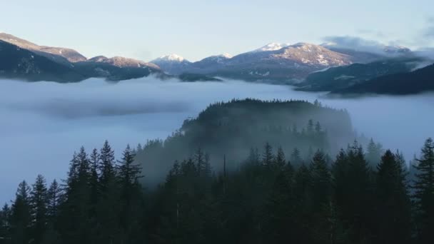 Gröna Träd Skogen Med Dimma Och Berg Vintersoluppgång Kanadensisk Natur — Stockvideo