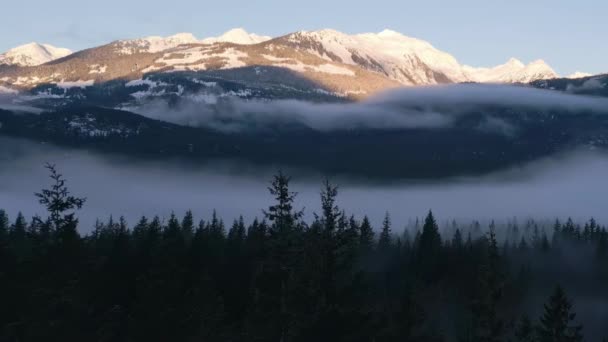 Árvores Verdes Floresta Com Nevoeiro Montanhas Winter Sunny Sunrise Paisagem — Vídeo de Stock