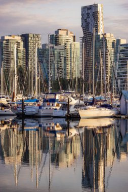 Vancouver şehir merkezi, British Columbia, Kanada. Stanley Park 'taki Moder City Binaları. Günbatımı Gökyüzü.