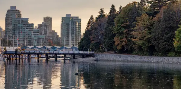 Downtown Vancouver British Columbia Canada Moder City Buildings Stanley Park — Stock Photo, Image