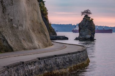 Pasifik Okyanusu 'nun batı kıyısındaki dramatik günbatımında Stanley Park' ta deniz manzarası. Vancouver şehir merkezi, BC, Kanada. Doğa Arkaplan Panoraması