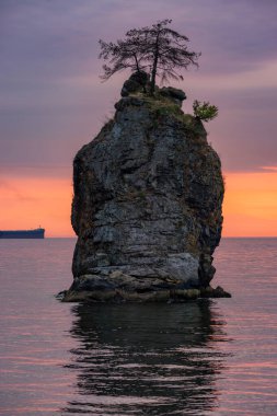 Pasifik Okyanusu 'nun batı kıyısındaki dramatik günbatımında Stanley Park' ta deniz manzarası. Vancouver şehir merkezi, BC, Kanada. Doğa Arkaplan Panoraması