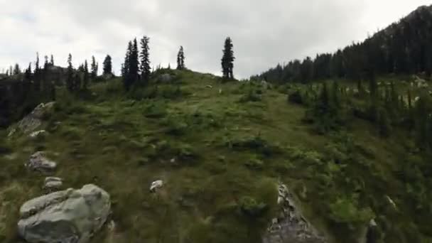 Green Meadows Mountain Landscape Vista Aerea Volo Dinamico Natura Columbia — Video Stock