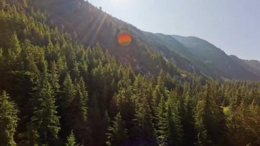 Kanada Dağ manzarası ve canlı yeşil ağaçlar. Sonbahar sezonu. Hava Doğası Arkaplanı. British Columbia, Kanada.