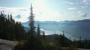 Kanada Dağ manzarası ve canlı yeşil ağaçlar. Sonbahar sezonu. Hava Doğası Arkaplanı. British Columbia, Kanada.
