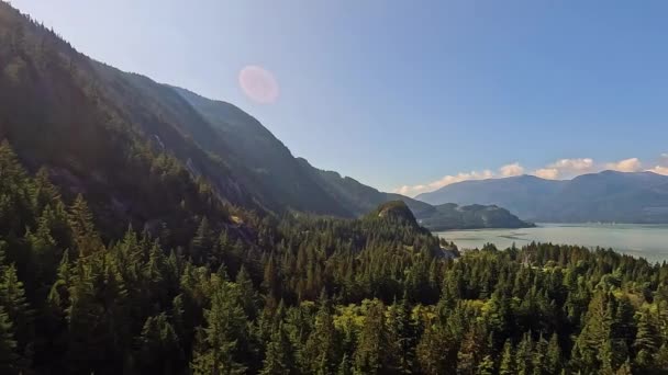 Paisagem Montanhosa Canadense Árvores Verdes Vibrantes Temporada Outono Antecedentes Natureza — Vídeo de Stock