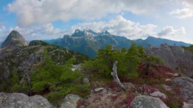 Kanada Dağ manzarası ve canlı yeşil ağaçlar. Sonbahar sezonu. Doğa Arkaplanı. British Columbia, Kanada.