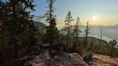 Kanada Dağ manzarası ve canlı yeşil ağaçlar. Sonbahar sezonu. Doğa Arkaplanı. British Columbia, Kanada. Gün batımı