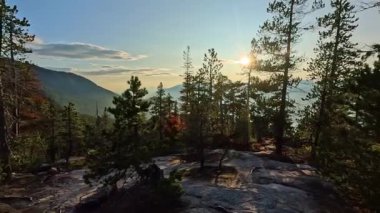 Kanada Dağ manzarası ve canlı yeşil ağaçlar. Sonbahar sezonu. Doğa Arkaplanı. British Columbia, Kanada. Gün batımı