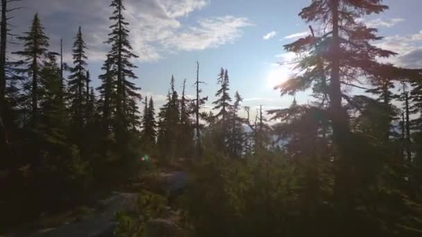 Kanadská Horská Krajina Pulzující Zelené Stromy Podzimní Sezóna Vzdušné Pozadí — Stock video