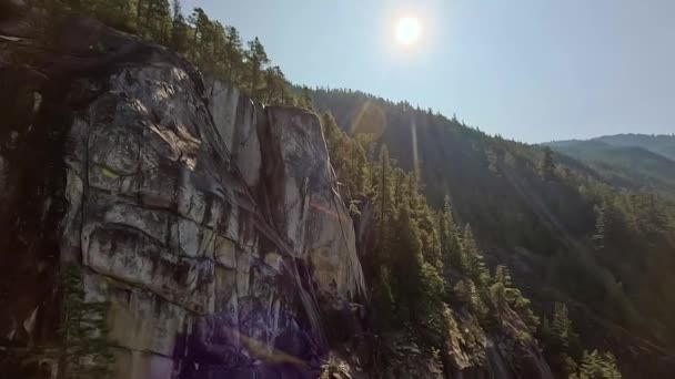 Paesaggio Montano Canadese Alberi Verdi Vibranti Stagione Autunnale Sfondo Della — Video Stock
