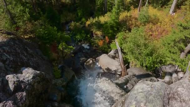 Río Cascada Paisaje Montañoso Canadiense Durante Soleado Día Temporada Otoño — Vídeo de stock