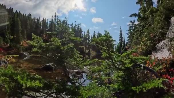 See Der Kanadischen Berglandschaft Einem Sonnigen Herbsttag Squamish British Columbia — Stockvideo