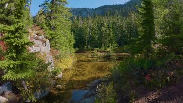 晴れた秋の季節の日にカナダの山の風景の湖 ブリティッシュコロンビア州スカミッシュ — ストック動画
