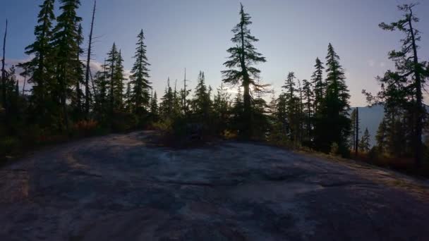Paisagem Montanhosa Canadense Árvores Verdes Vibrantes Temporada Outono Fundo Natureza — Vídeo de Stock