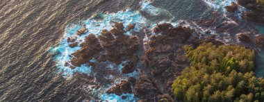 Pasifik Okyanusu kıyısındaki Rocky Shore, Tofino, Vancouver Adası, BC, Kanada. Gün batımı. Hava Doğası Arkaplan Panoraması