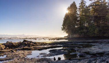 Pasifik Okyanusu kıyısındaki Rocky Shore. Güneşli Günbatımı. Botanik Plajı, Port Renfrew, Vancouver Adası, BC, Kanada. Doğa Arkaplanı