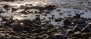 Pasifik Okyanusu kıyısındaki Rocky Shore. Güneşli Günbatımı. Botanik Plajı, Port Renfrew, Vancouver Adası, BC, Kanada. Doğa Arkaplanı