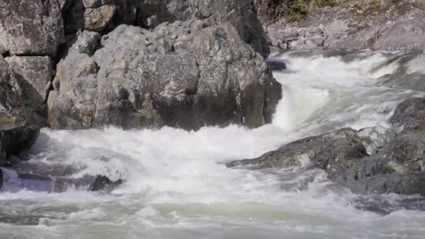 Rocce Lungo Fiume Nel Paesaggio Naturale Canadese Isola Vancouver Canada — Video Stock