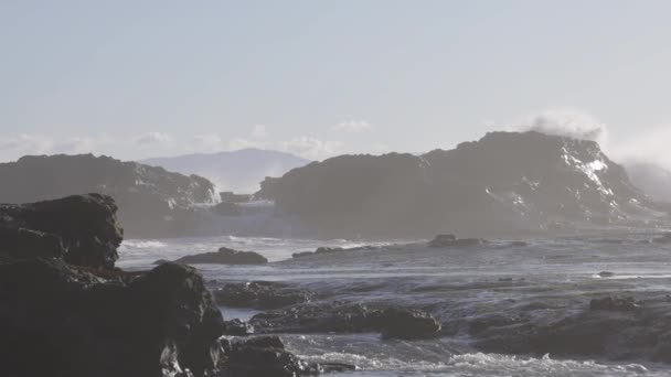 Waves Crushing Rocky Shore Pacific Ocean Coast Sunny Sunset Botanical — Stock Video