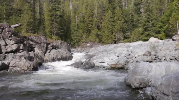 Rocas Junto Río Paisaje Natural Canadiense Vancouver Island Canadá Moción — Vídeo de stock